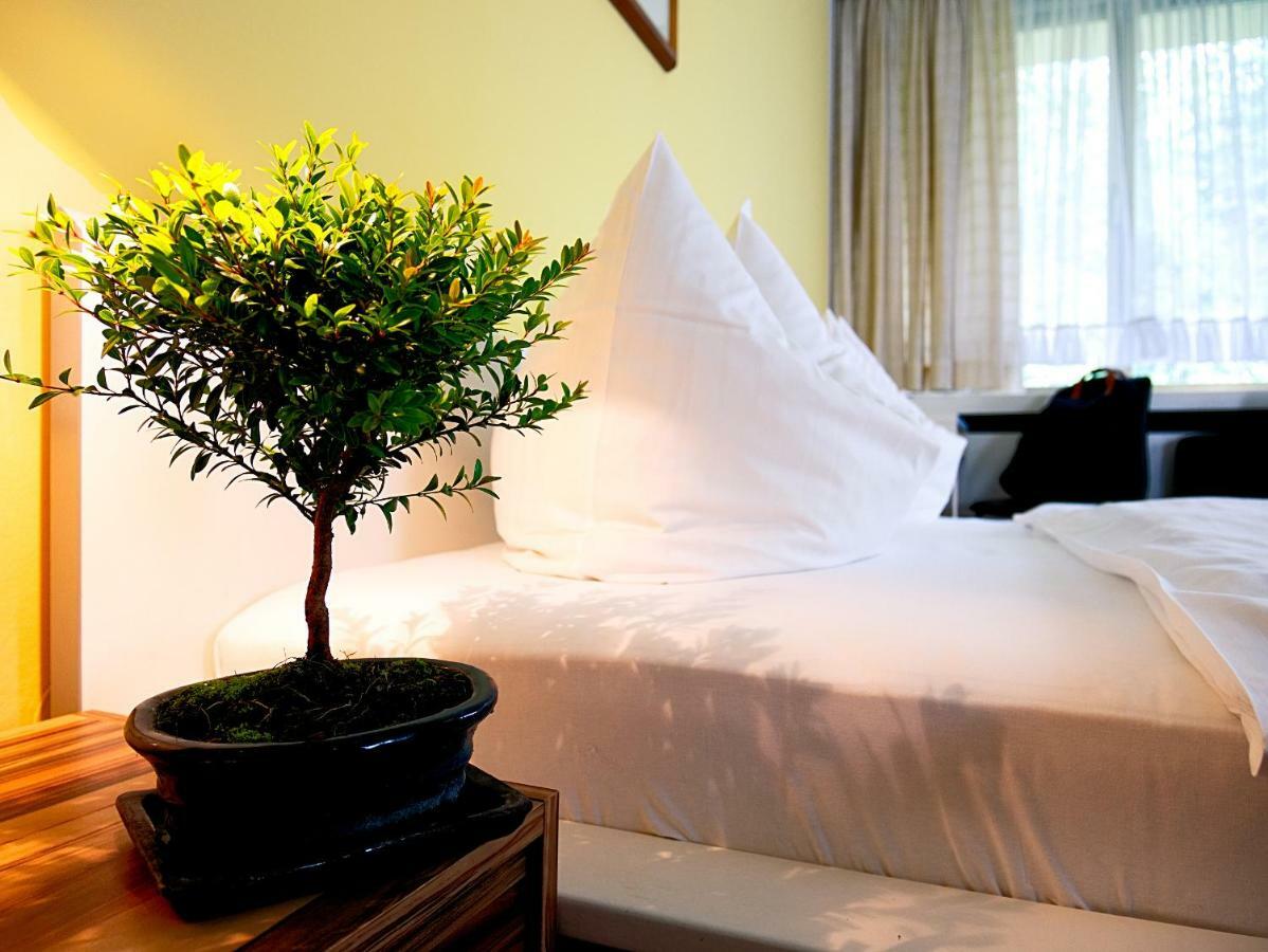 Hotel Albrechtshof Gohrisch 外观 照片